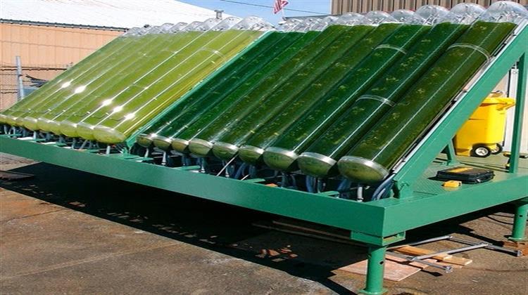 ΧΑ: Ολοκληρώνεται η ΑΜΚ της Algae Farms
